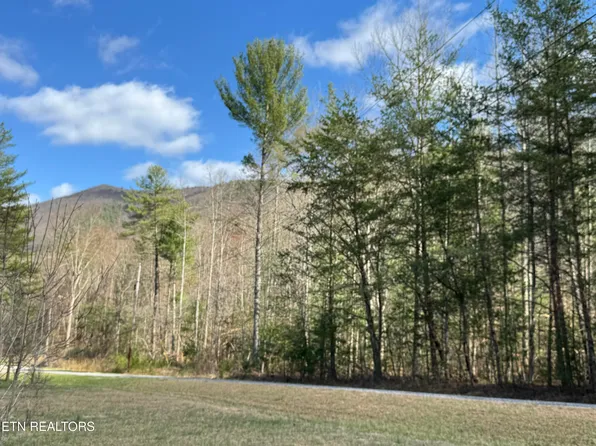 Cougar Trail 3ac, Del Rio, TN 37727