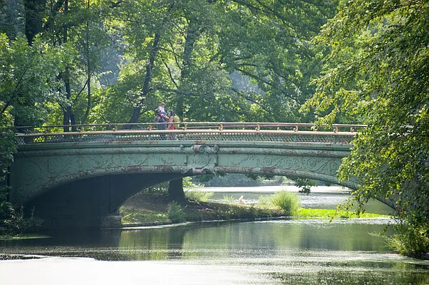 Rented by Lisa Management | media 4