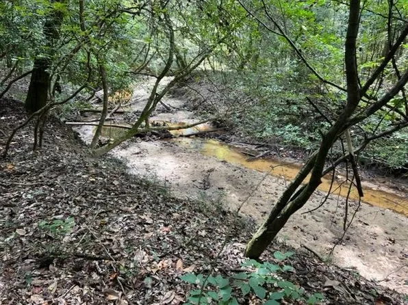 0 State Highway 29, Dozier, AL 36028