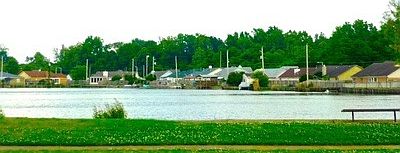 3rd image of 7131 Beartown Cv