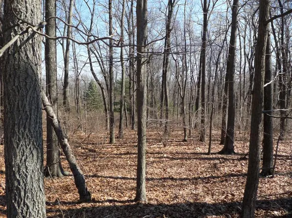 28 Danville Mountain Rd, Great Meadows, NJ 07838