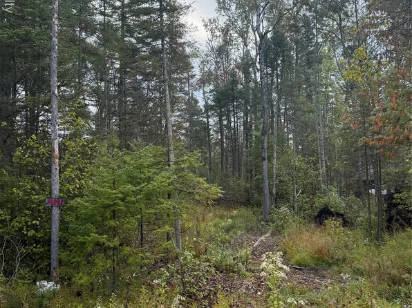 9191 M 33, Atlanta, MI 49709