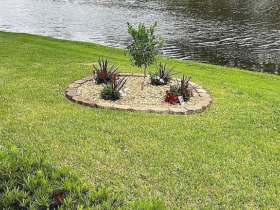 Pond side garden