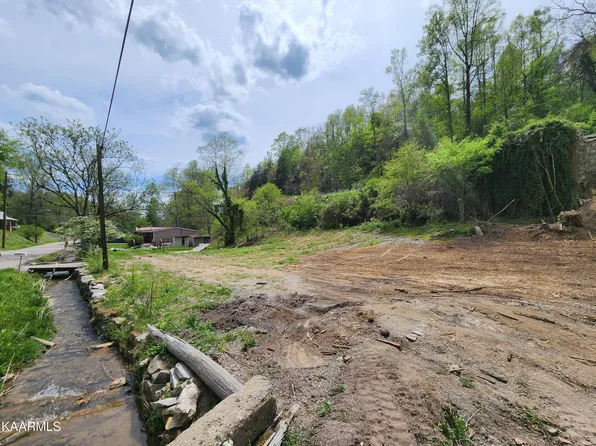 603 Town Branch Rd, Jonesville, VA 24263