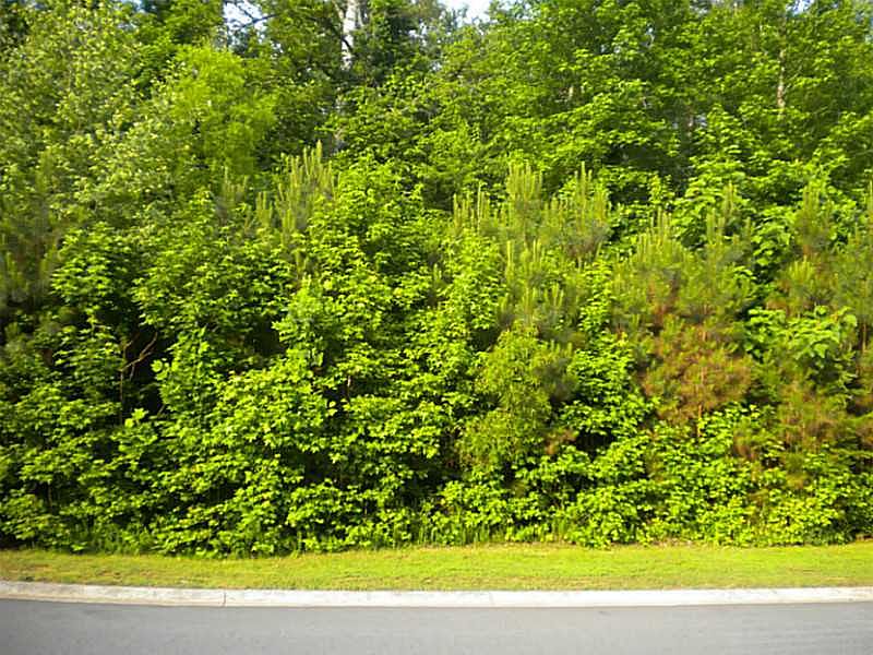 1st image of 1467 Camden Cove Dr