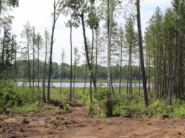 00 McGahn Rd, Germfask, MI 49836