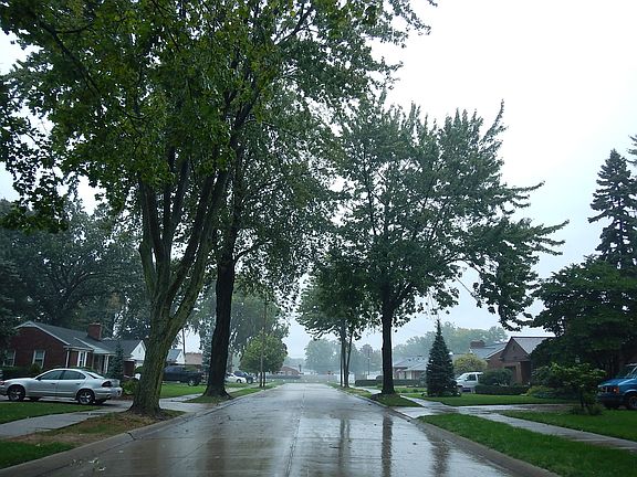 4th image of 28836 Jane St