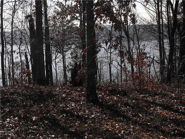 2nd image of 48 Legacy Point