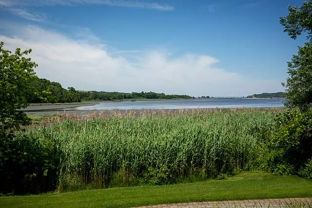 Fairfield Knolls On Roslyn Harbor — Photo 35