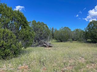 33664 W El Caballo Rd, Seligman, AZ 86337