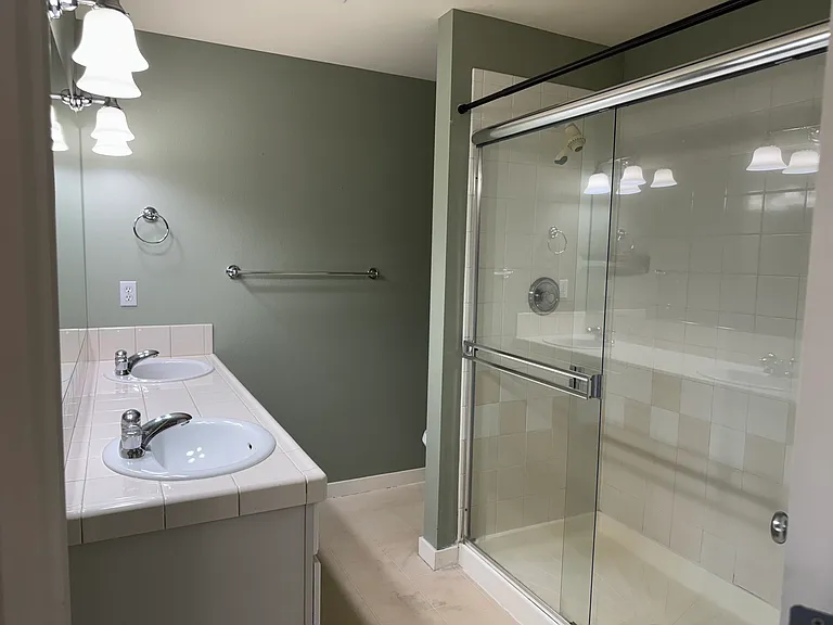 Master bathroom suite