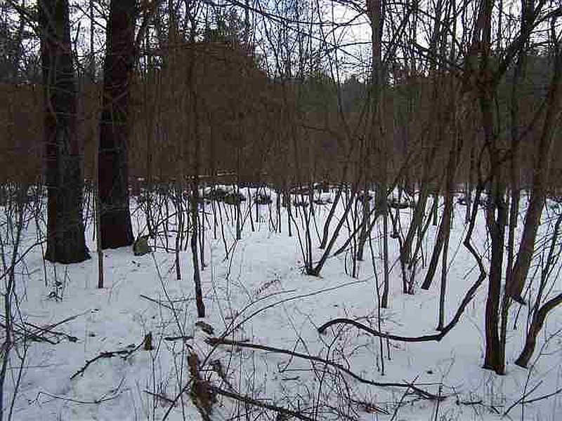 2nd image of 94 FINCH Road