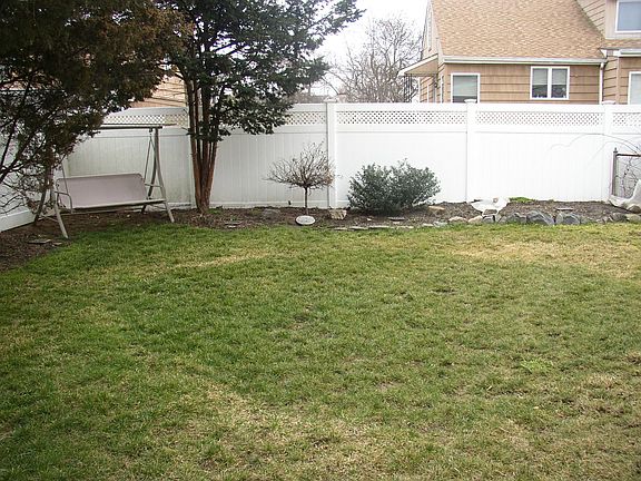 back yard