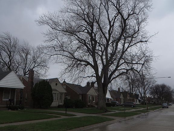 5th image of 5336 Ziegler St