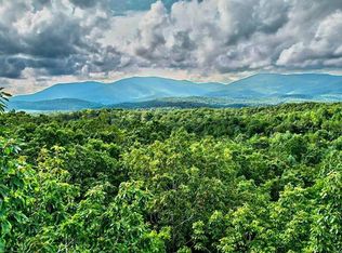 19.44 Mount McGurder Rd, Ellijay, GA 30536