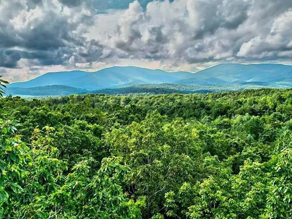 28.82 Mount McGurder Rd, Ellijay, GA 30536