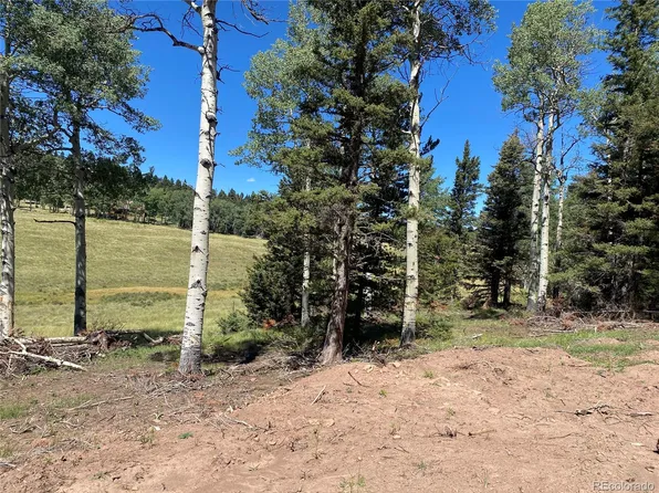 Lot 2841 Wendt Lane LOT 2841, Fort Garland, CO 81133