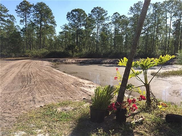 2nd image of 985 Honeybee Dr