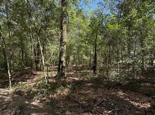0 NW 14th St Lot 34, Ocala, FL 34482