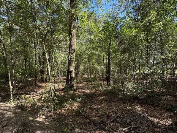 0 NW 14th St Lot 34, Ocala, FL 34482