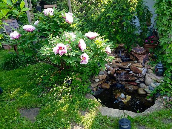 backyard with water feature