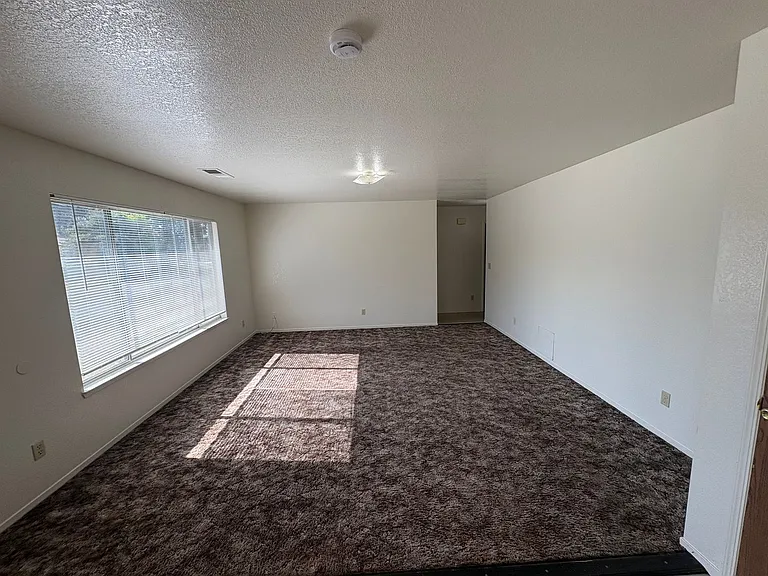 1543 N Willis St — Photo 18