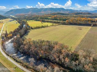 4019 E Lamar Alexander Pkwy, Walland, TN 37886