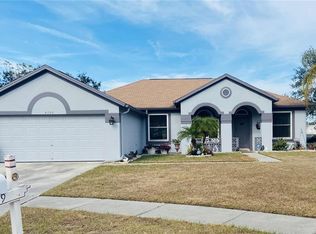 4209 Amber Ridge Ln, Valrico, FL 33594