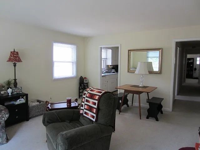 Living Room #1