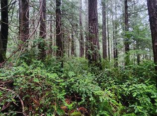 14 Yashi St, Brinnon, WA 98320