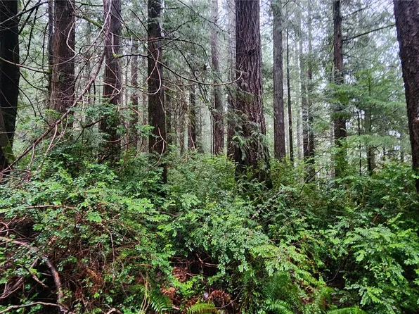 14 Yashi Road, Brinnon, WA 98320