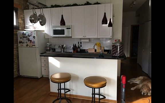 3rd image of 454 W Wrightwood Ave APT 3A