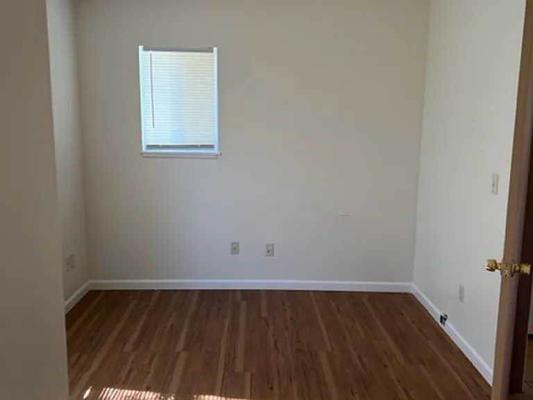 539 Palm St — Photo 11