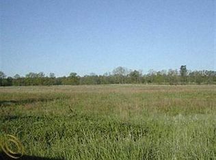 0 S Kane Rd, Webberville, MI 48892