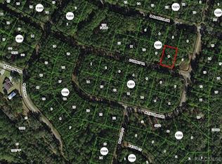 1389 E Urmey Pl, Citrus Springs, FL 34434