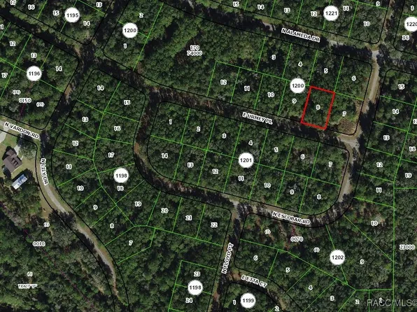 1389 E Urmey Pl, Citrus Springs, FL 34434