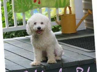 3330 Mowles Rd, Salem, VA 24153