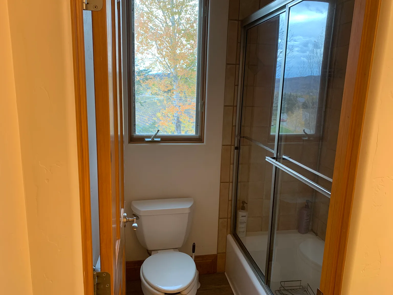 1 bed, 800 sqft, $2,590 — Photo 2
