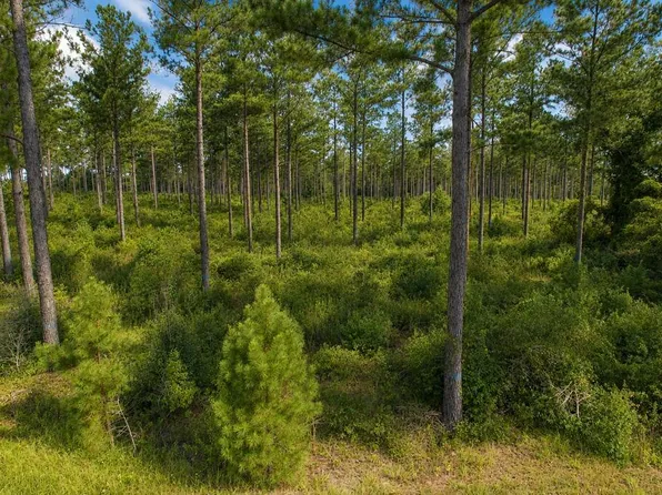 0 County Road 33, Ashford, AL 36312