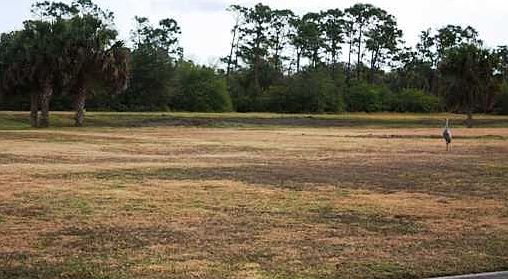 2nd image of 1527 Eagles Cir