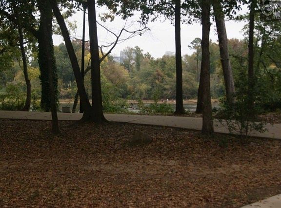 3rd image of 229 Congaree Park Dr