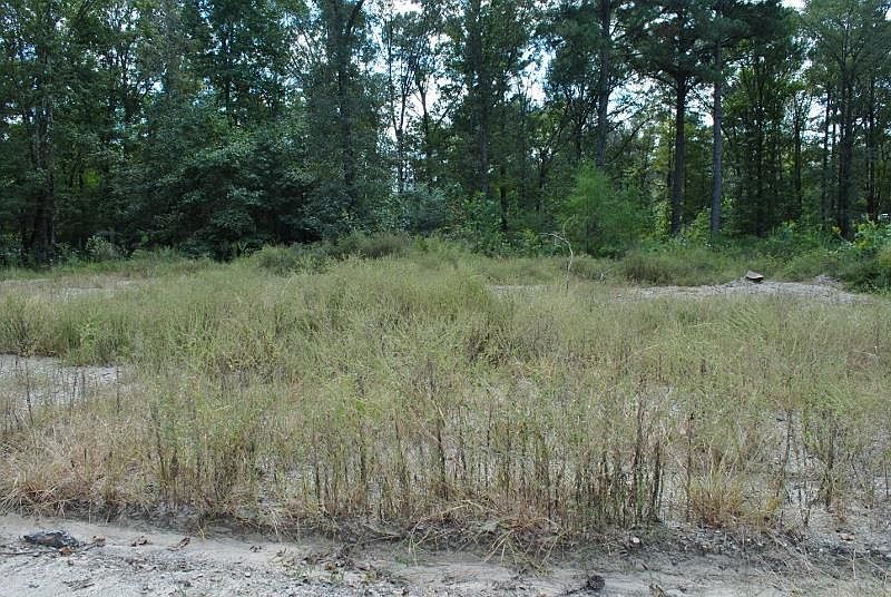 2nd image of 380 Hardy Ln