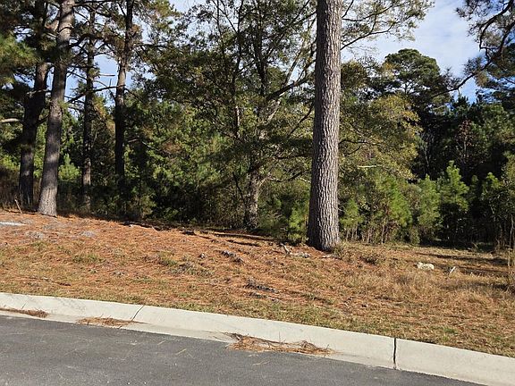 5th image of 996 Montclair Pl SW Lot 119