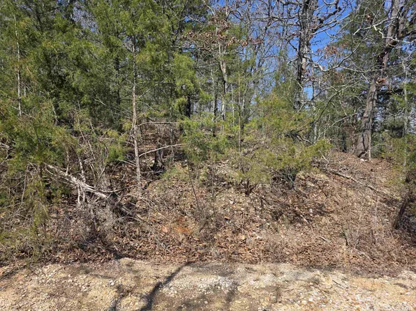 L52-B2 Chief Day Break Dr, Cherokee Village, AR 72529