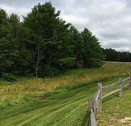 5th image of 0 Memorial Highway