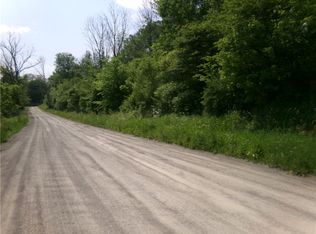 0 Gridleyville Rd, Spencer, NY 14883