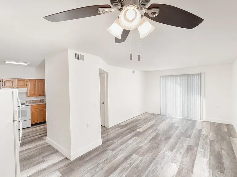 Living Area and Kitchen
