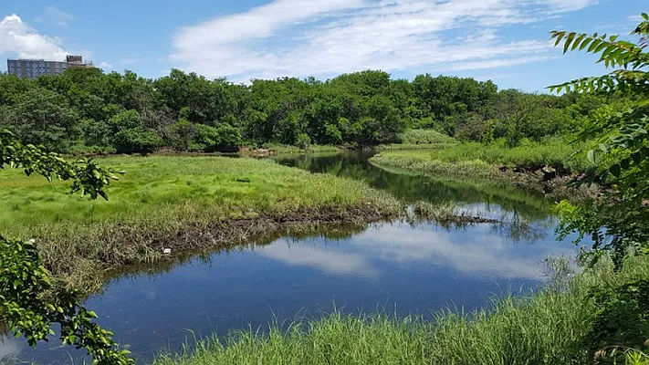 Sold by Douglas Elliman | media 12