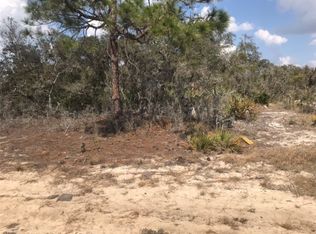 2900 W Nogales Rd, Avon Park, FL 33825