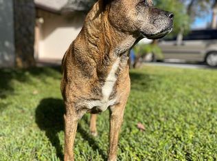 5735 Kentucky Ave, New Port Richey, FL 34652